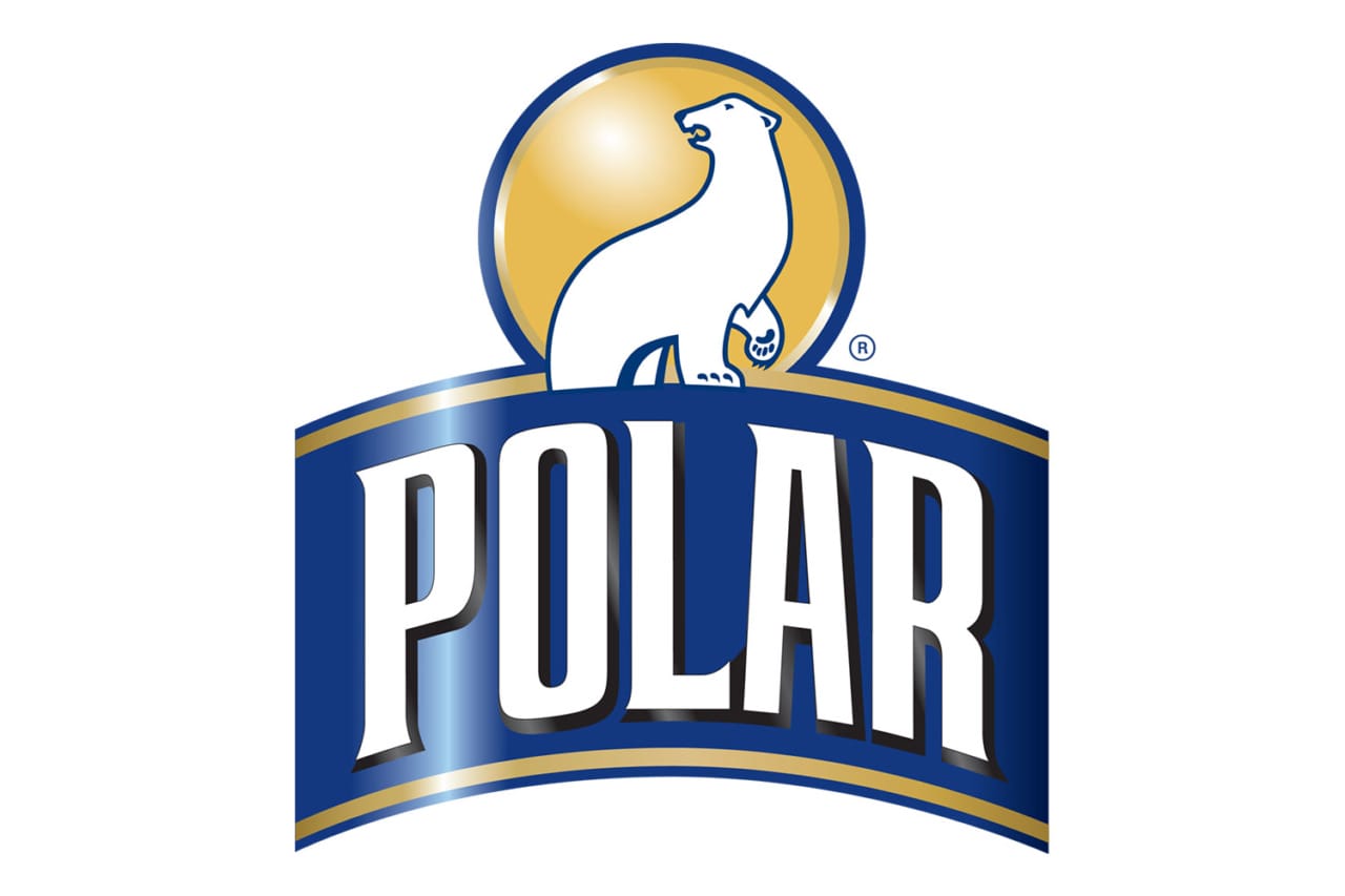 Polar brand logo featuring a white polar bear standing on a golden circle above the word "Polar" in bold white and blue letters.